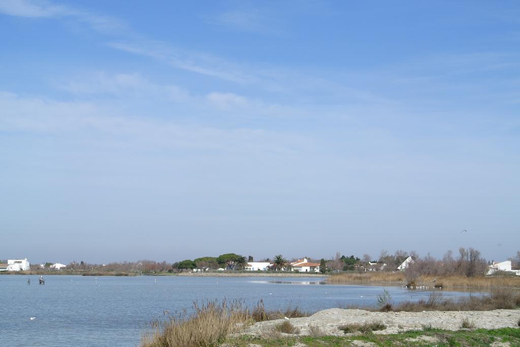 Hotel Les Palmiers En Camargue Saintes-Maries-de-la-Mer Szoba fotó