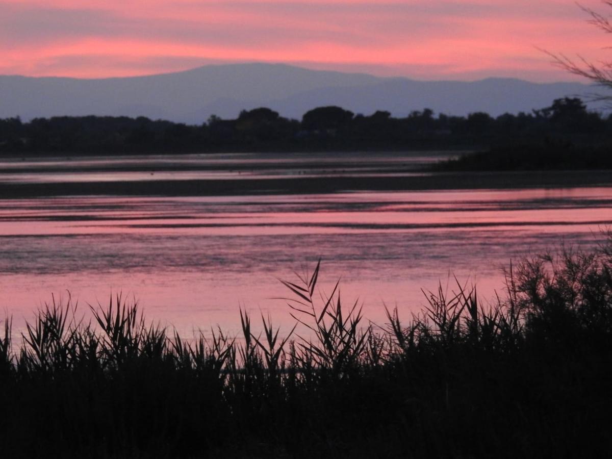 Hotel Les Palmiers En Camargue Saintes-Maries-de-la-Mer Kültér fotó