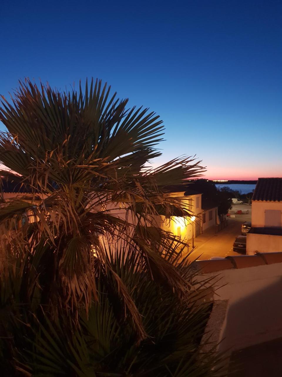 Hotel Les Palmiers En Camargue Saintes-Maries-de-la-Mer Kültér fotó